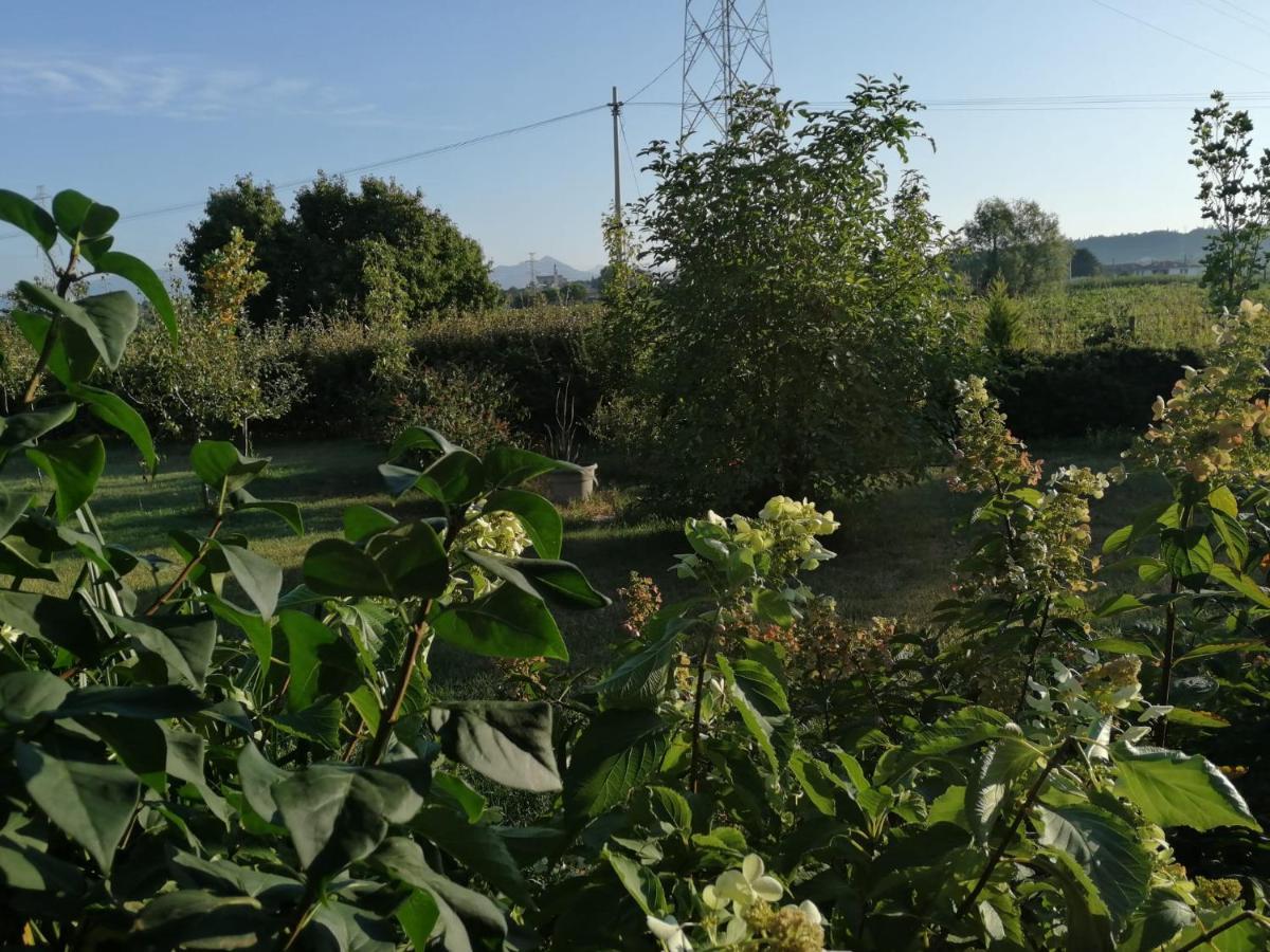 Ca' Blanca Bed & Breakfast Castelnuovo del Garda Exterior foto