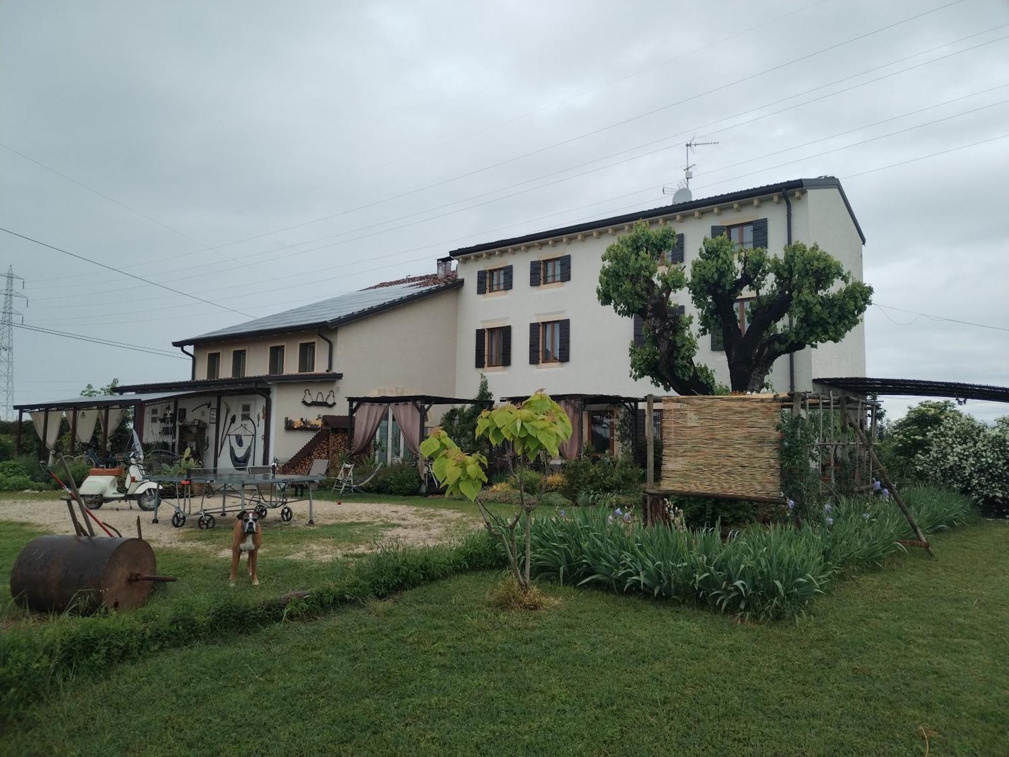 Ca' Blanca Bed & Breakfast Castelnuovo del Garda Exterior foto