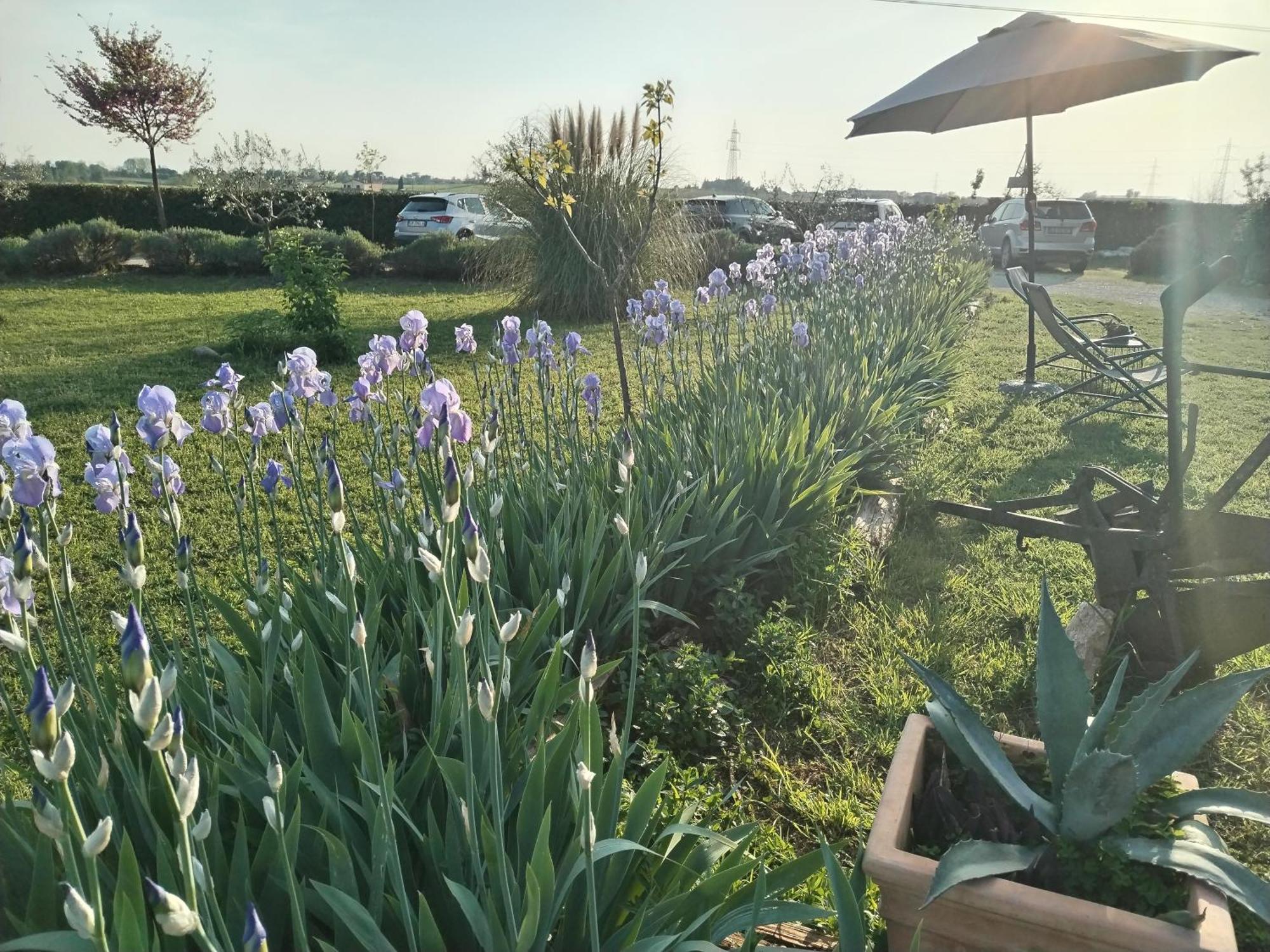 Ca' Blanca Bed & Breakfast Castelnuovo del Garda Exterior foto